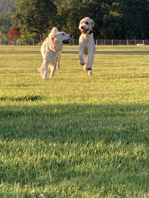 At the Park - Ava and Louis Playing