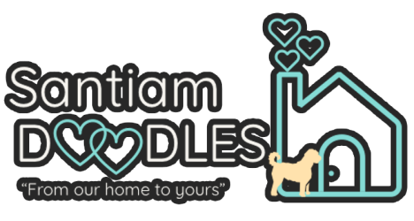 Santiam Doodle Logo